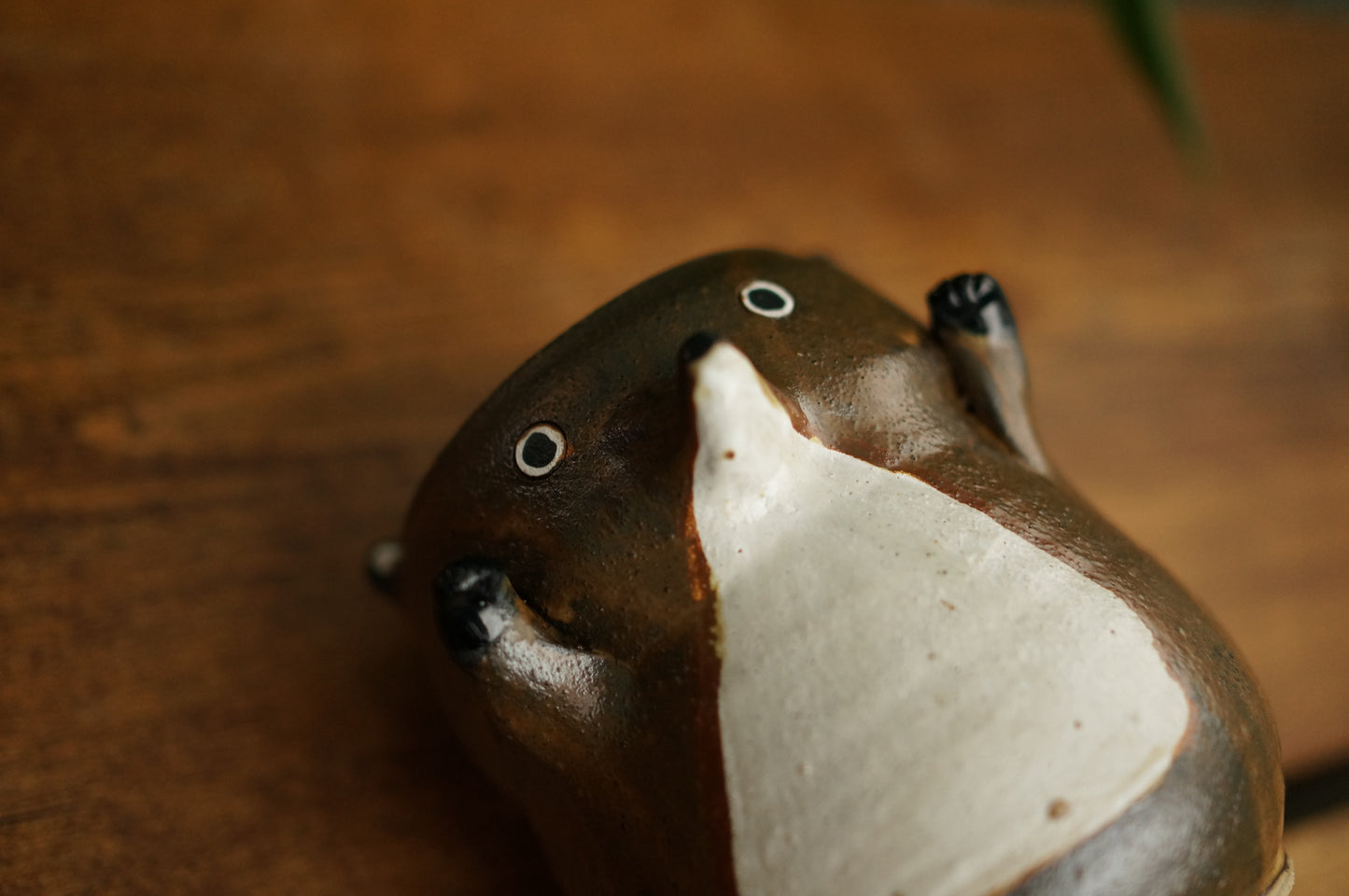 Brown Fox Cup