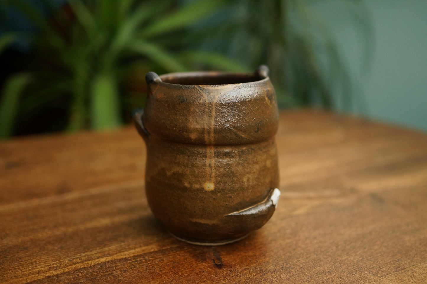 Brown Fox Cup