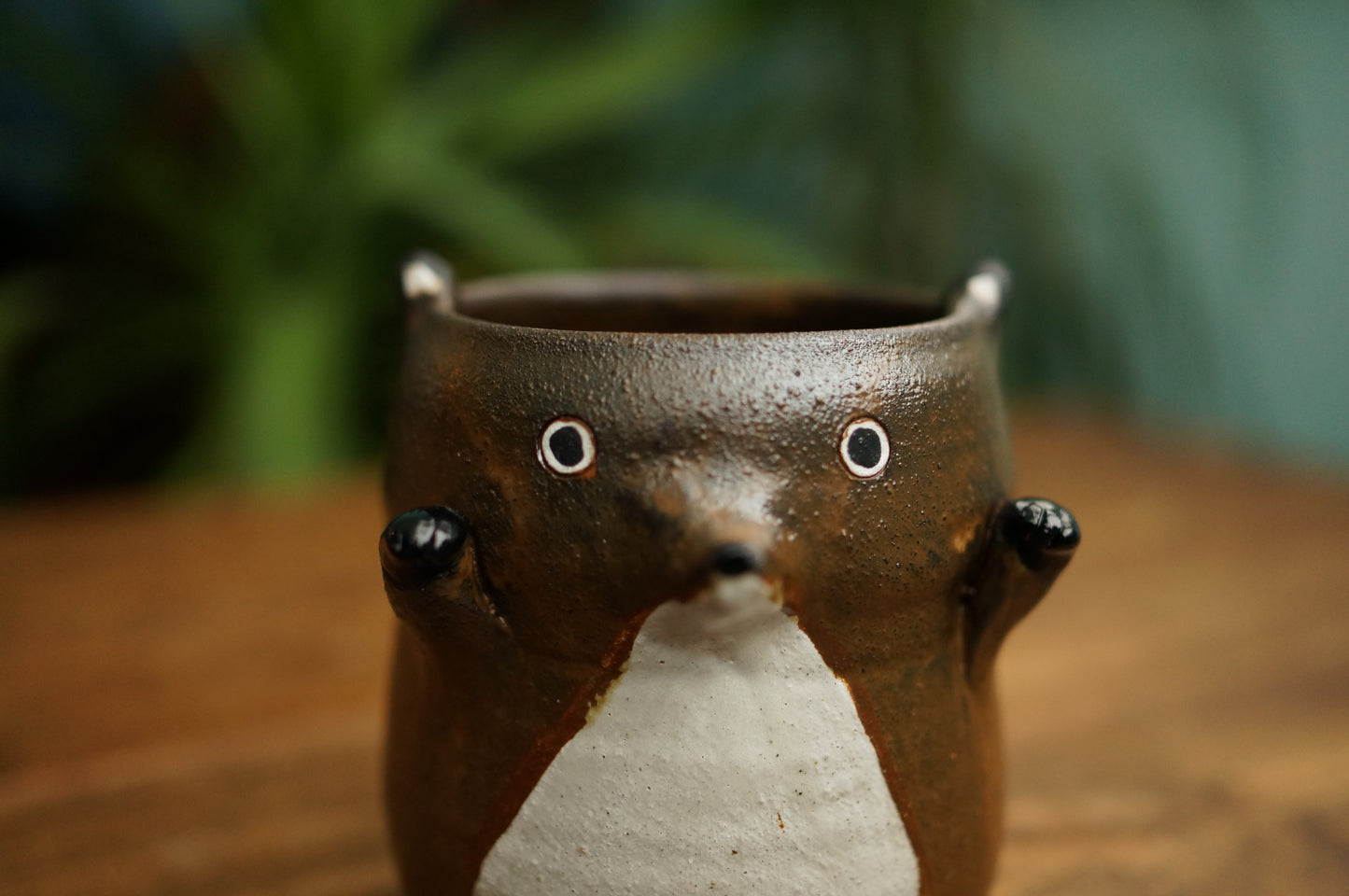 Brown Fox Cup