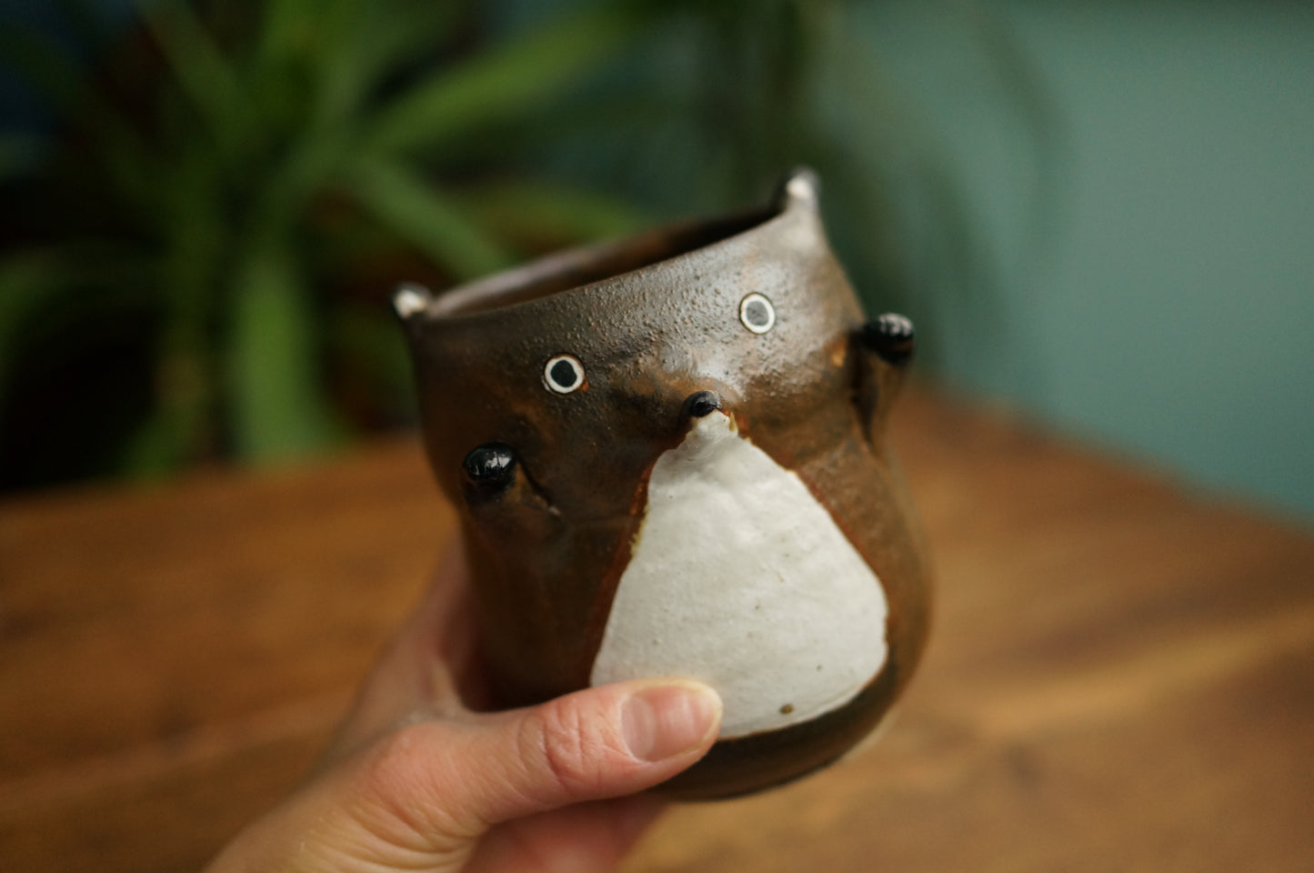 Brown Fox Cup