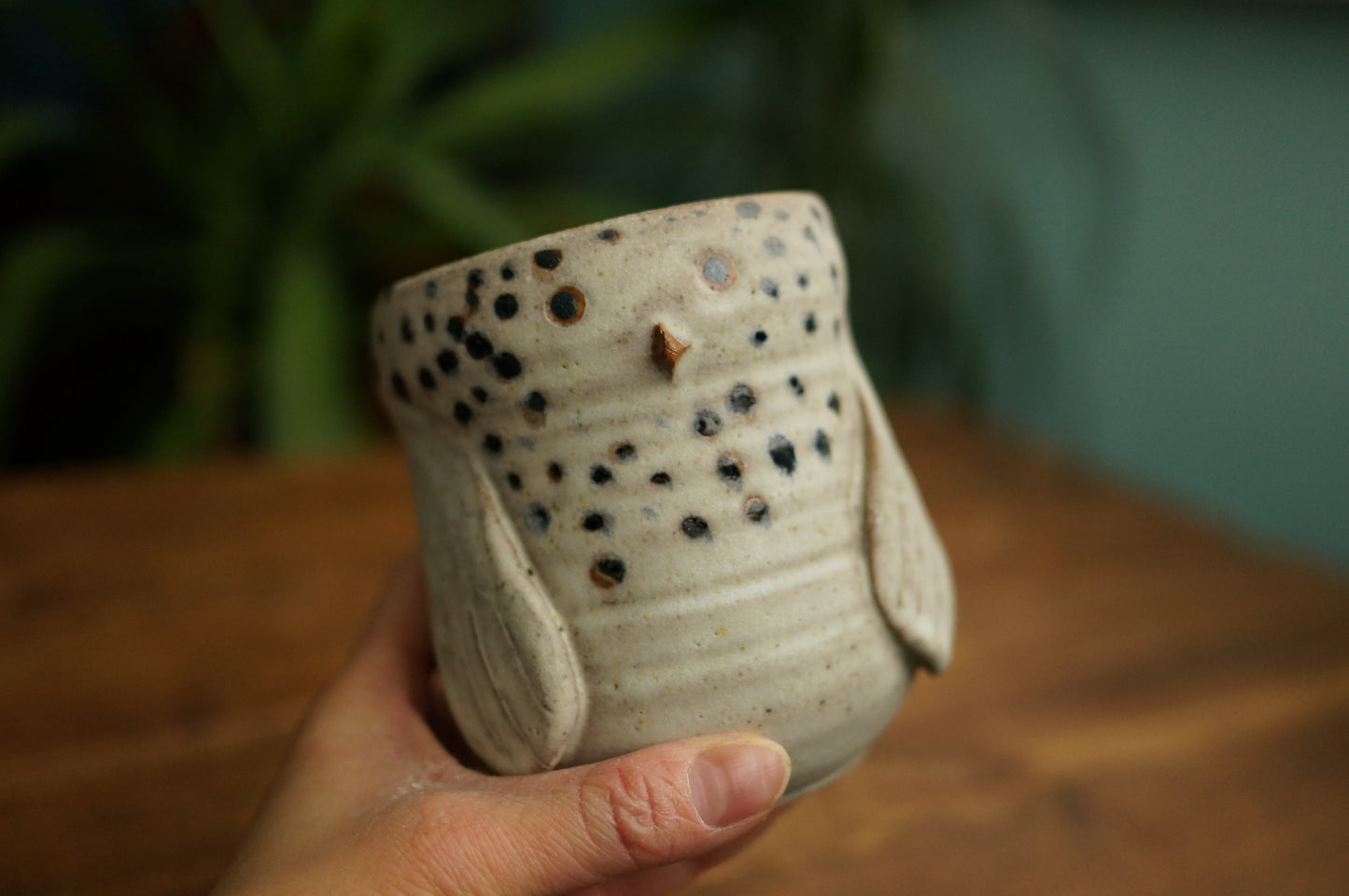 Snowy Owl Cup