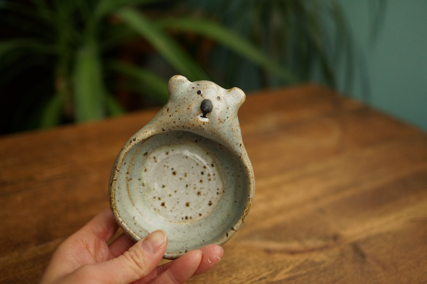 Koala Holder