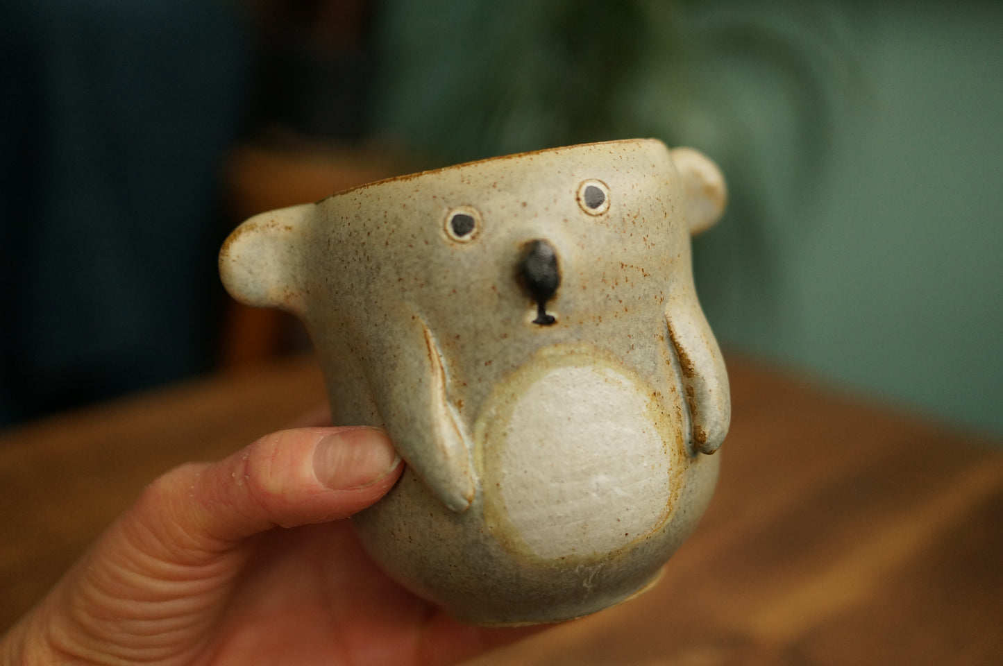 Koala Cup