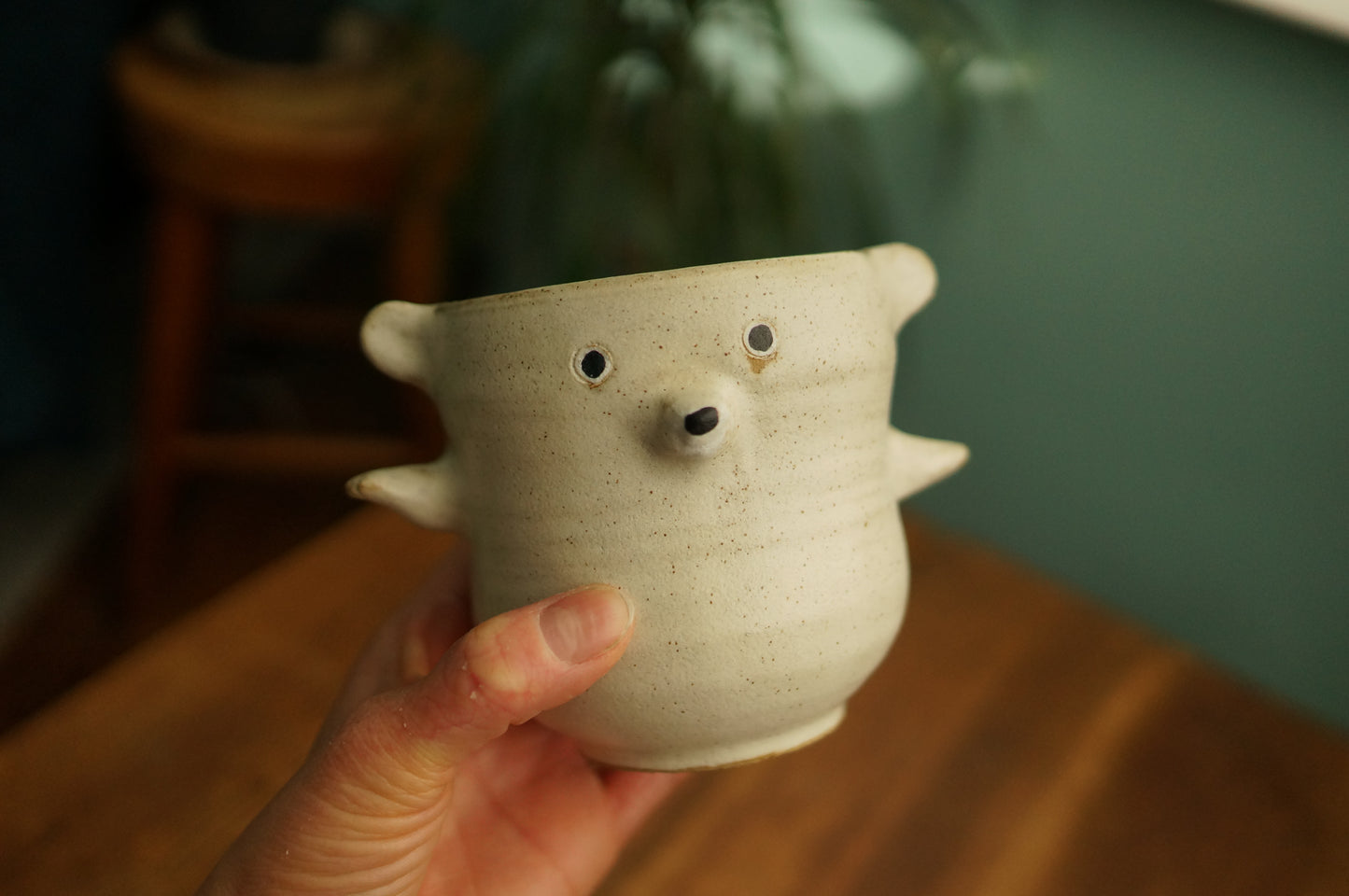 Bear Cup