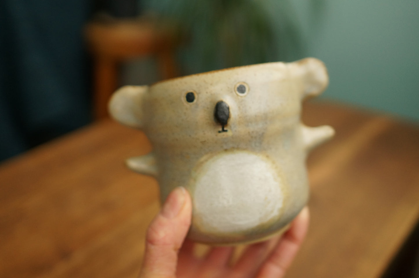 Koala Cup