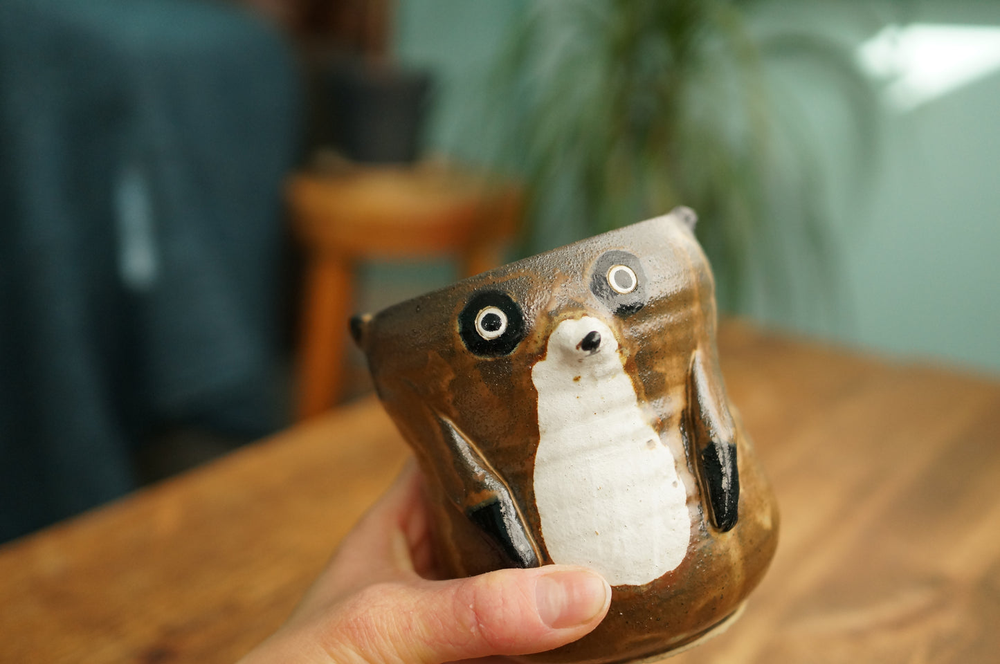 Meerkat Cup