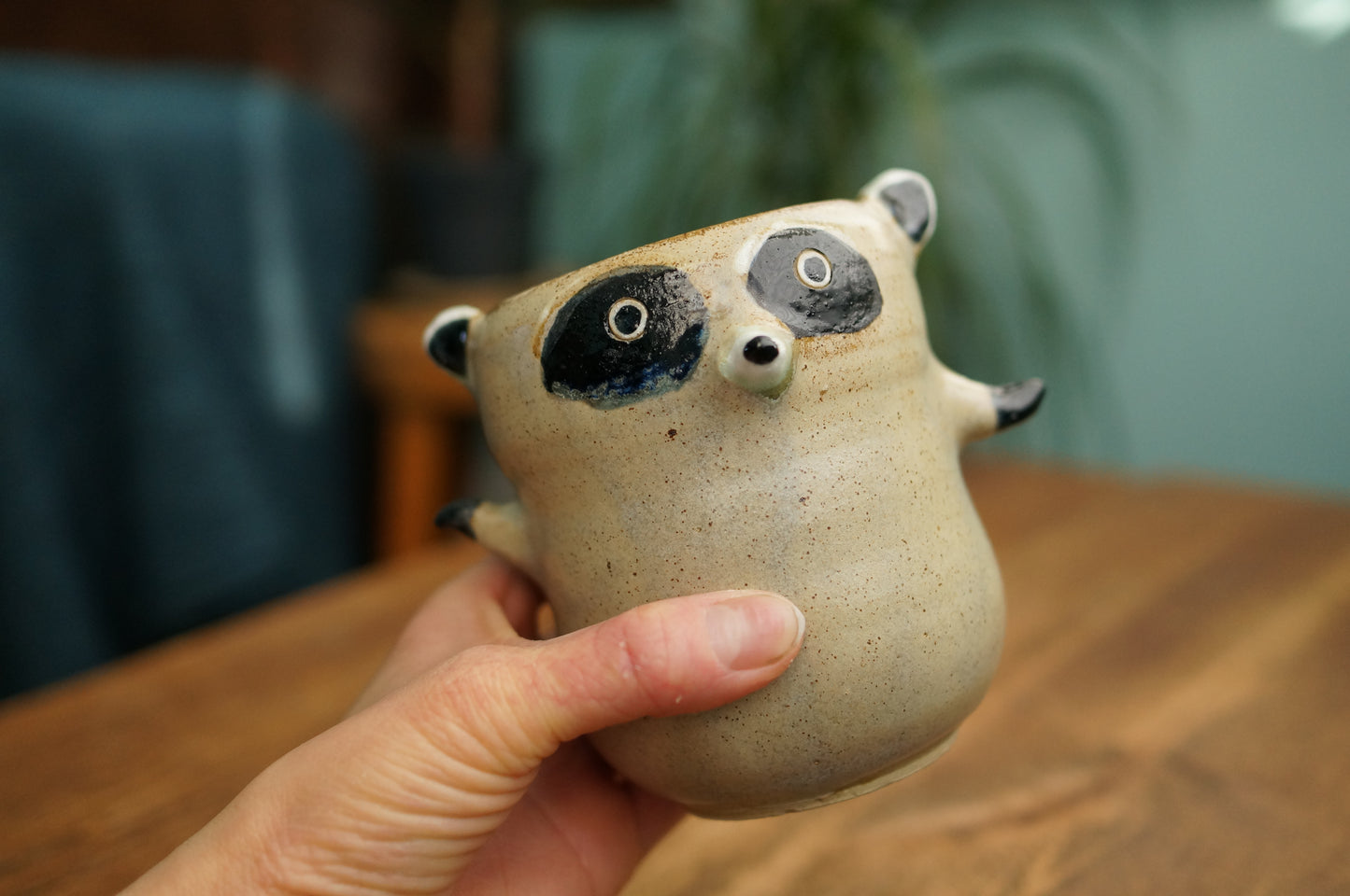 Raccoon Cup
