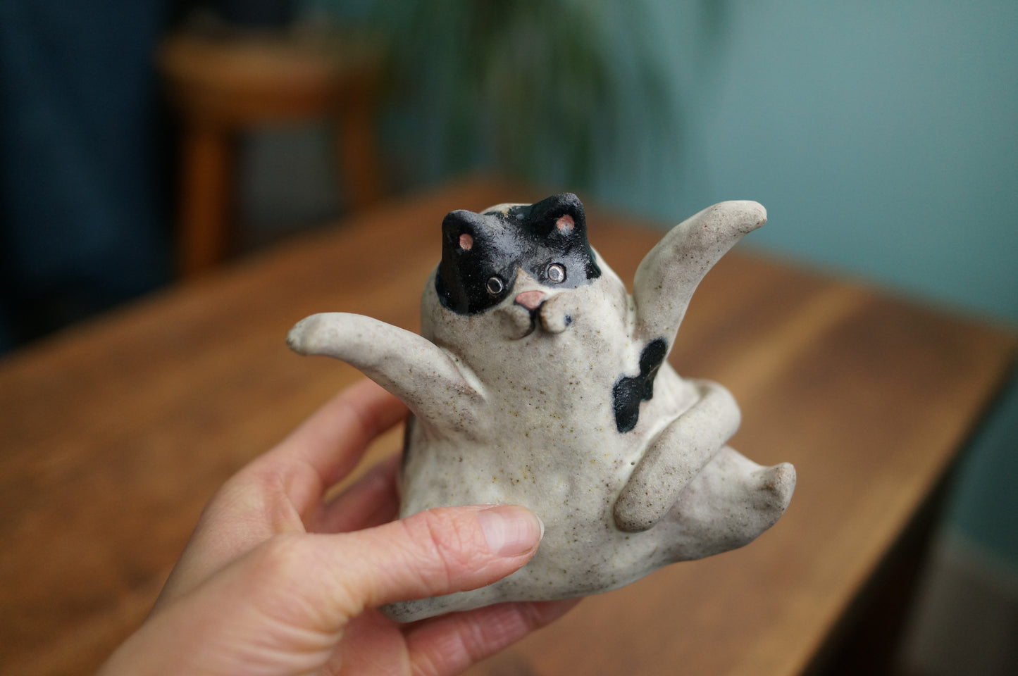 Cat Accessories Holder