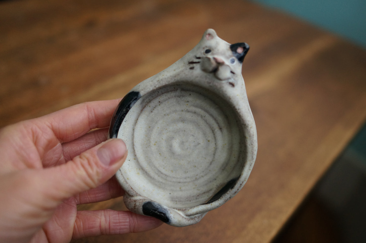 Cat Holder