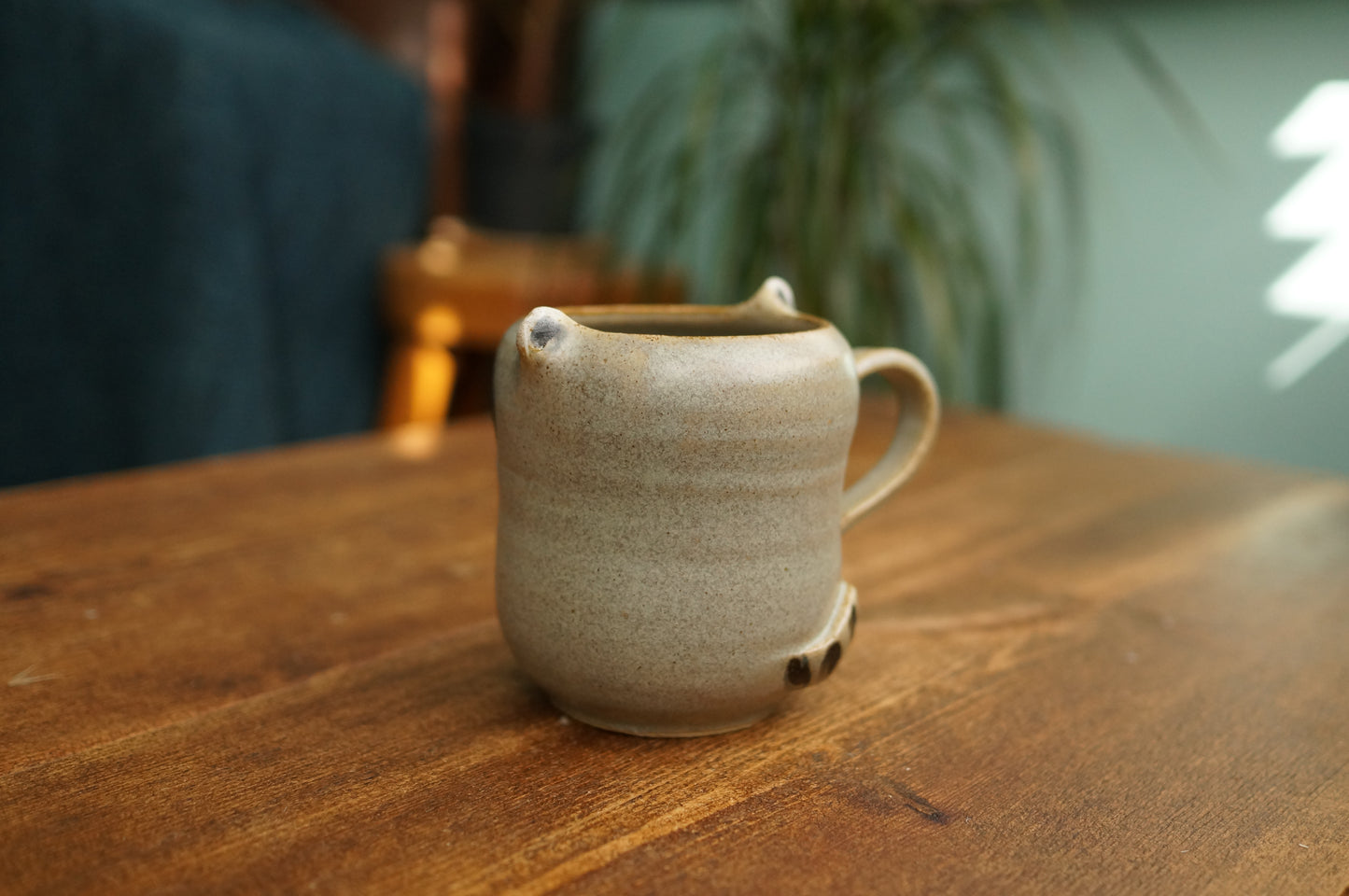 Raccoon Mug