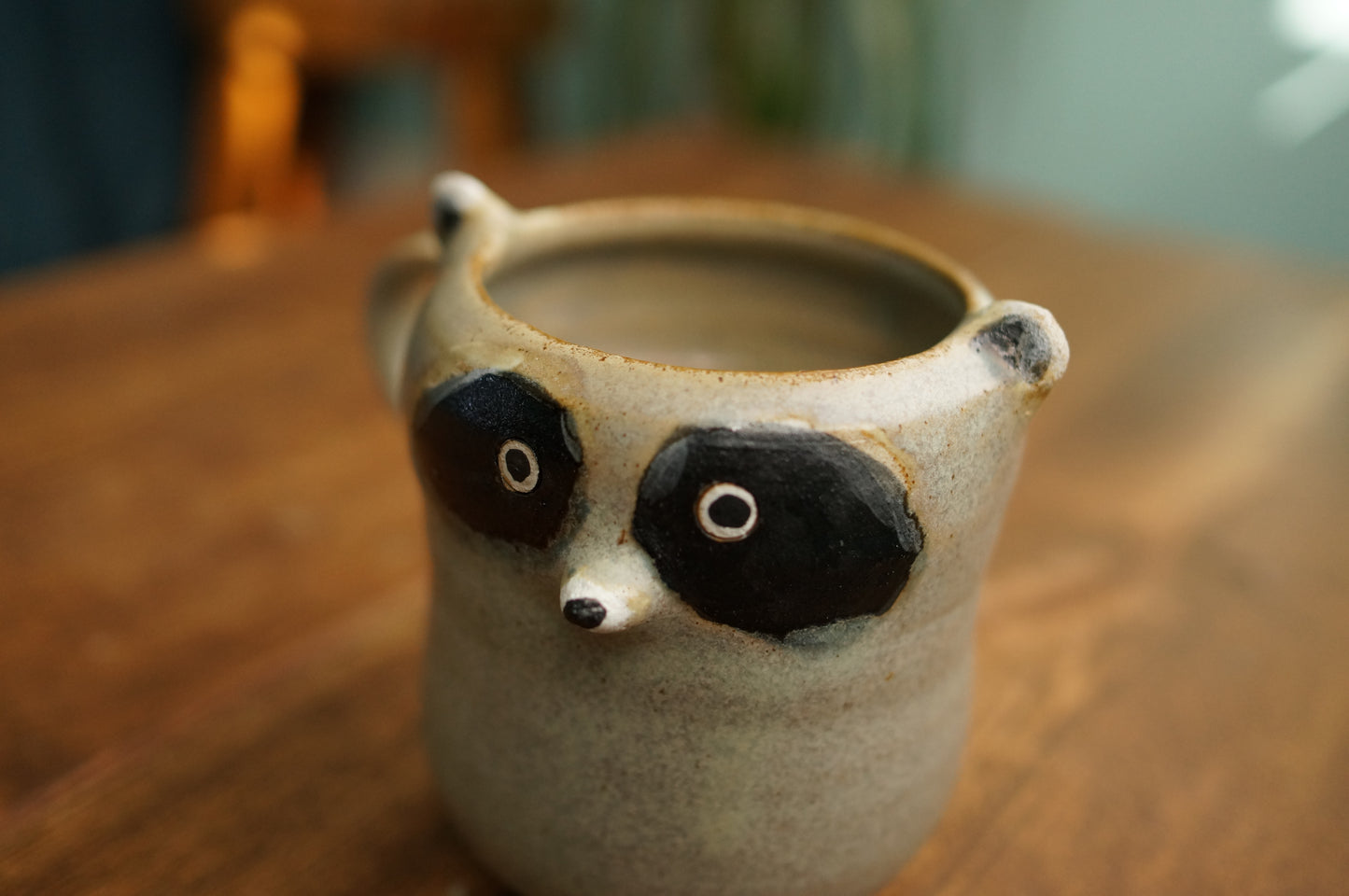 Raccoon Mug