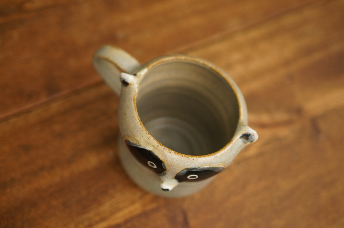 Raccoon Mug