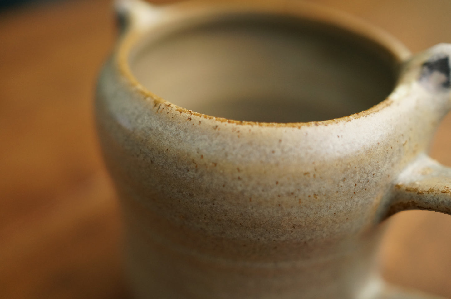 Raccoon Mug