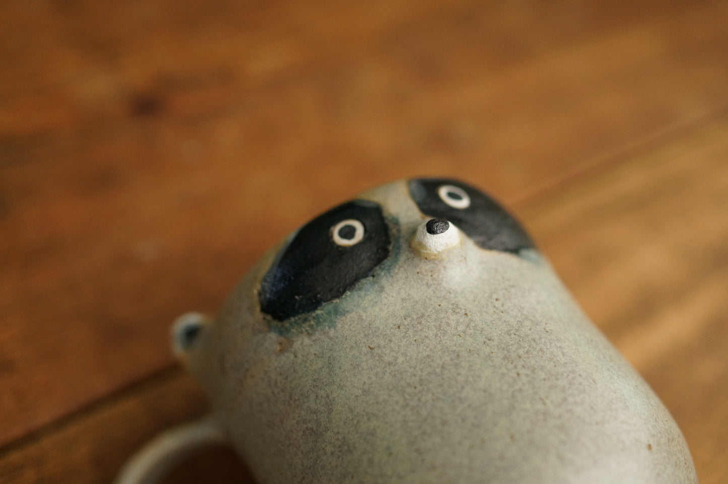 Raccoon Mug