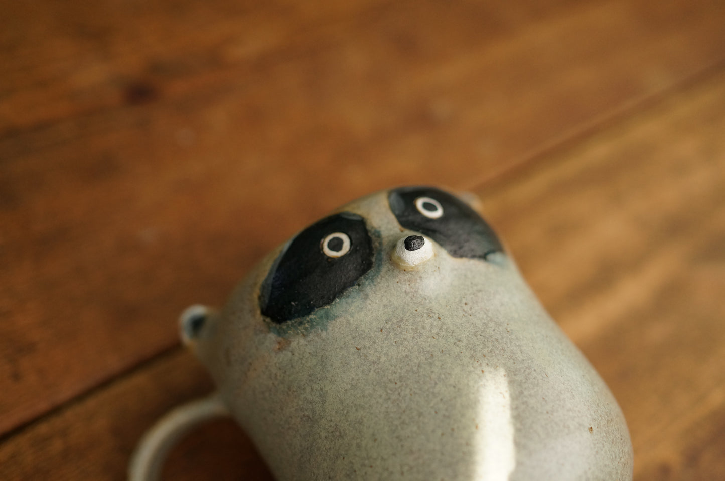 Raccoon Mug
