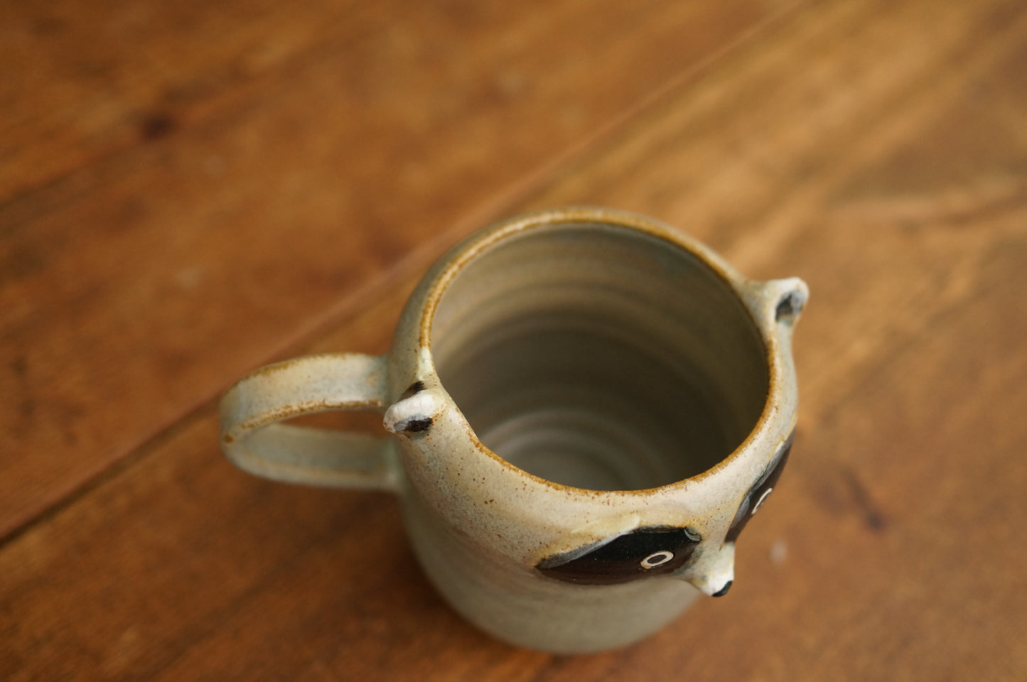 Raccoon Mug