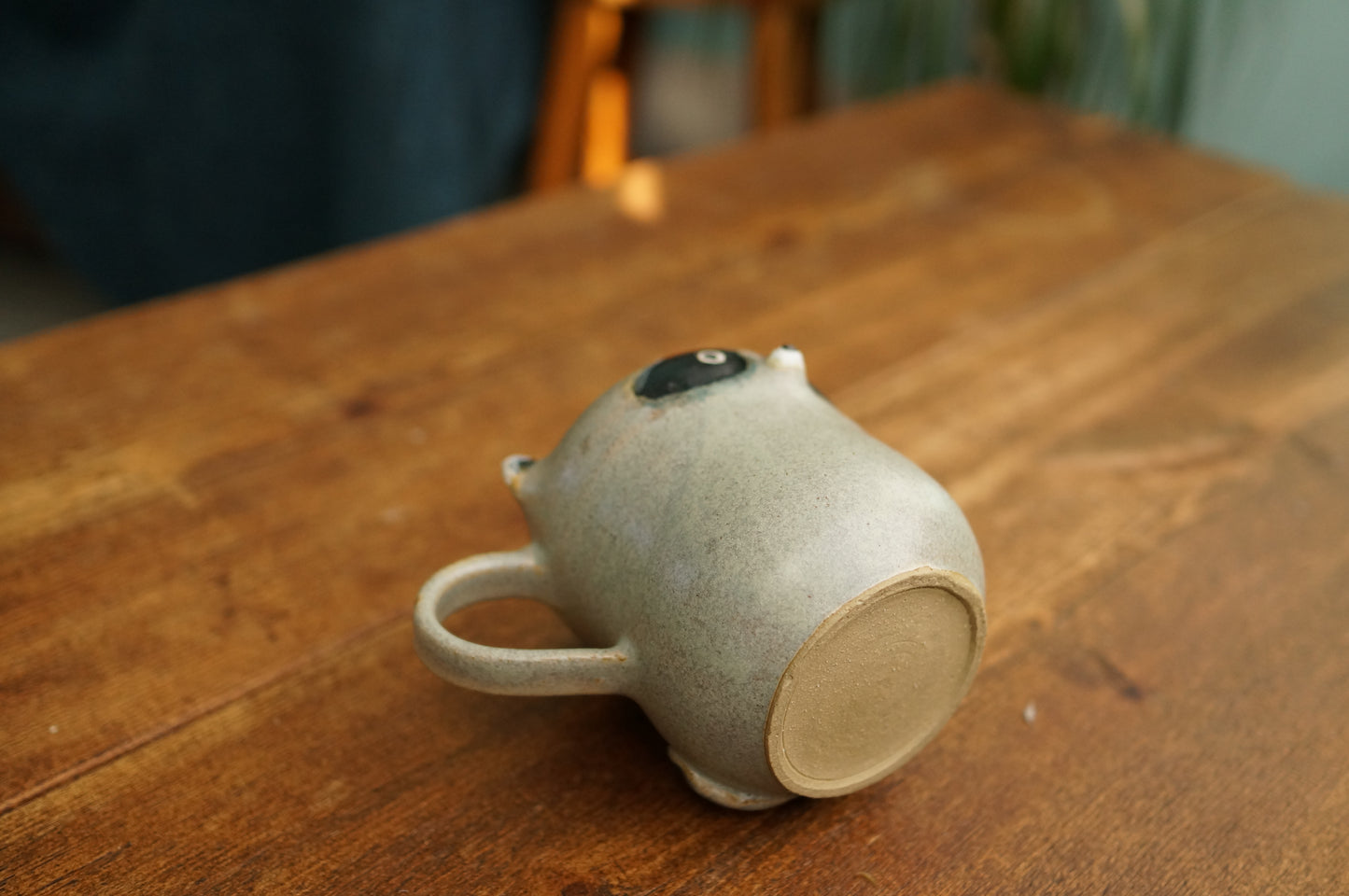 Raccoon Mug