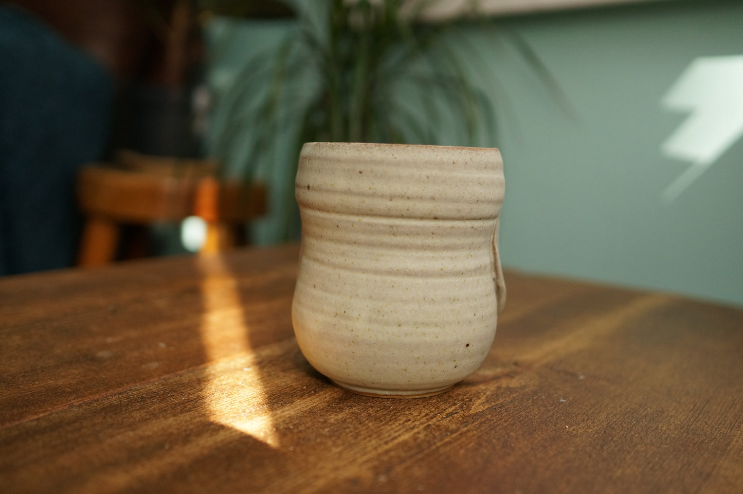 Snowy Owl Cup