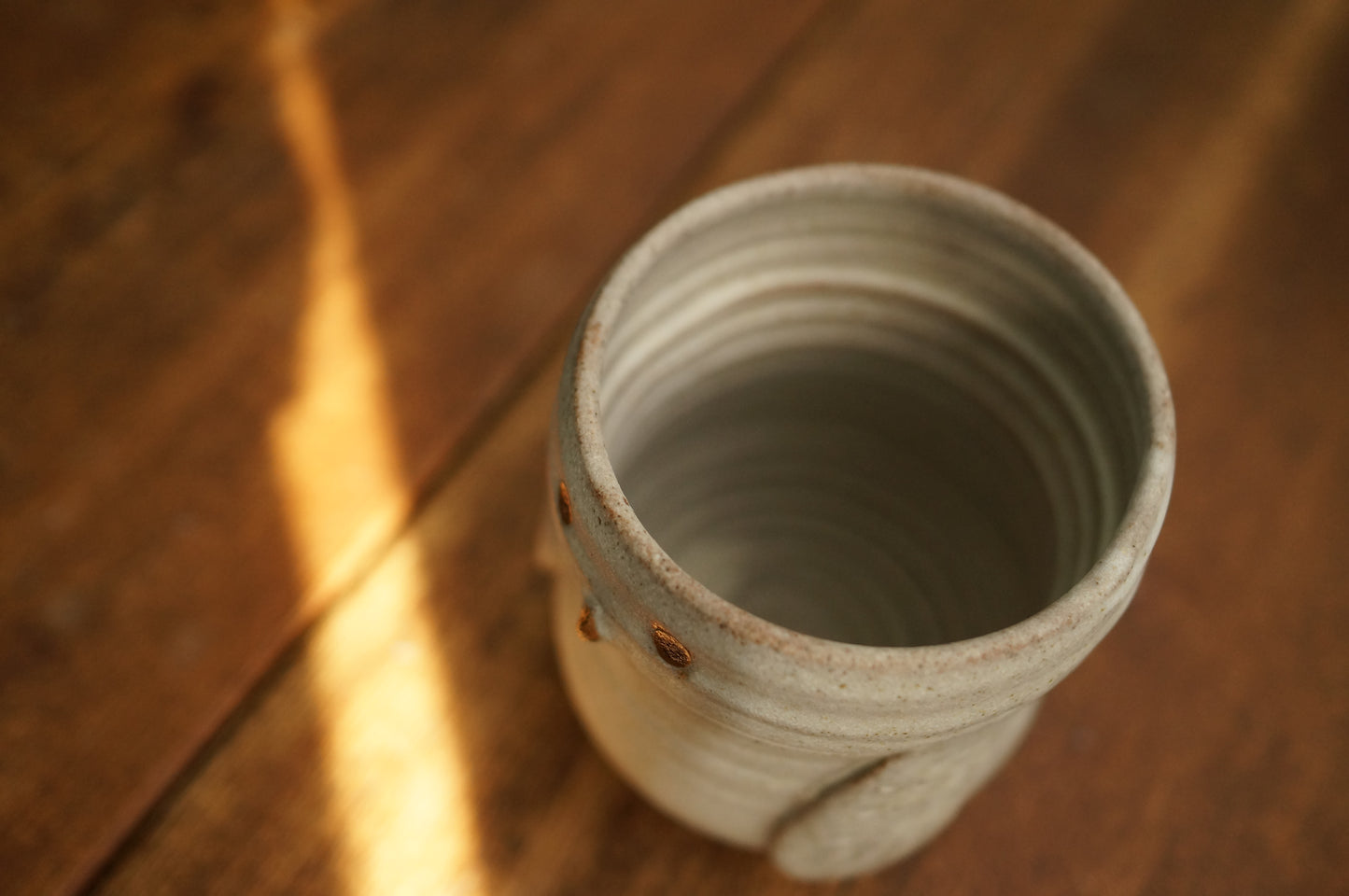 Snowy Owl Cup