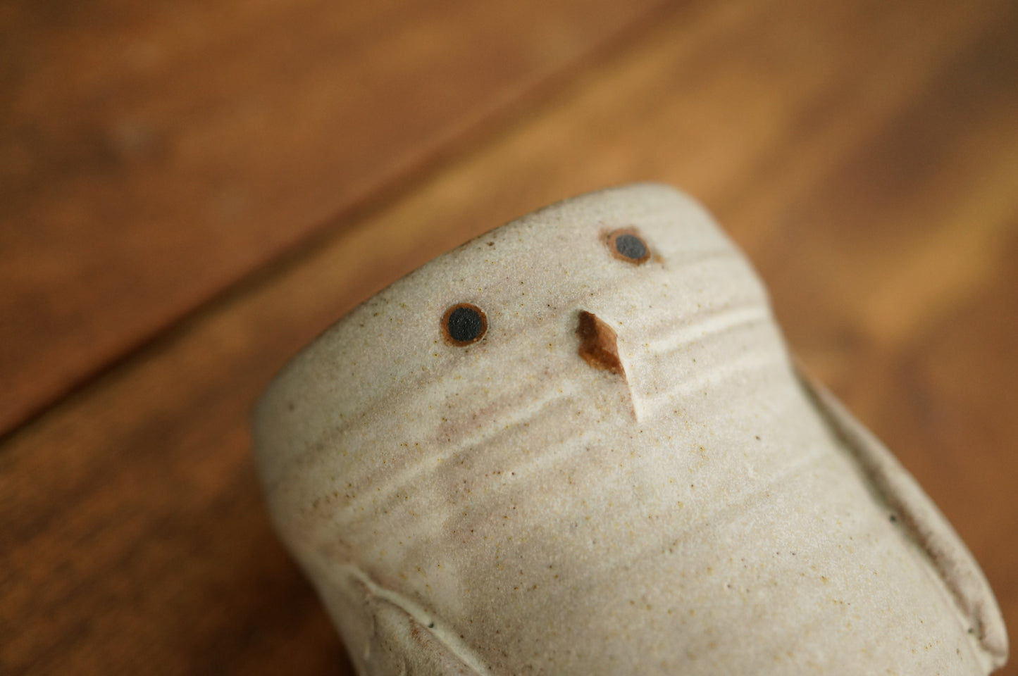 Snowy Owl Cup