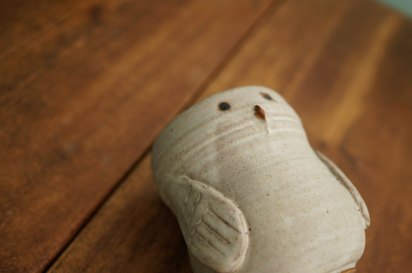 Snowy Owl Cup