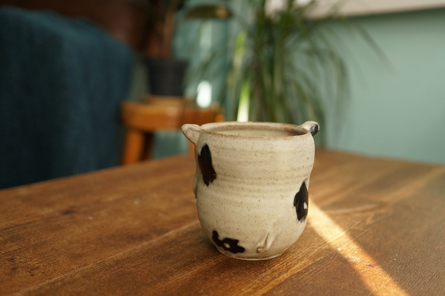 Cow Cup