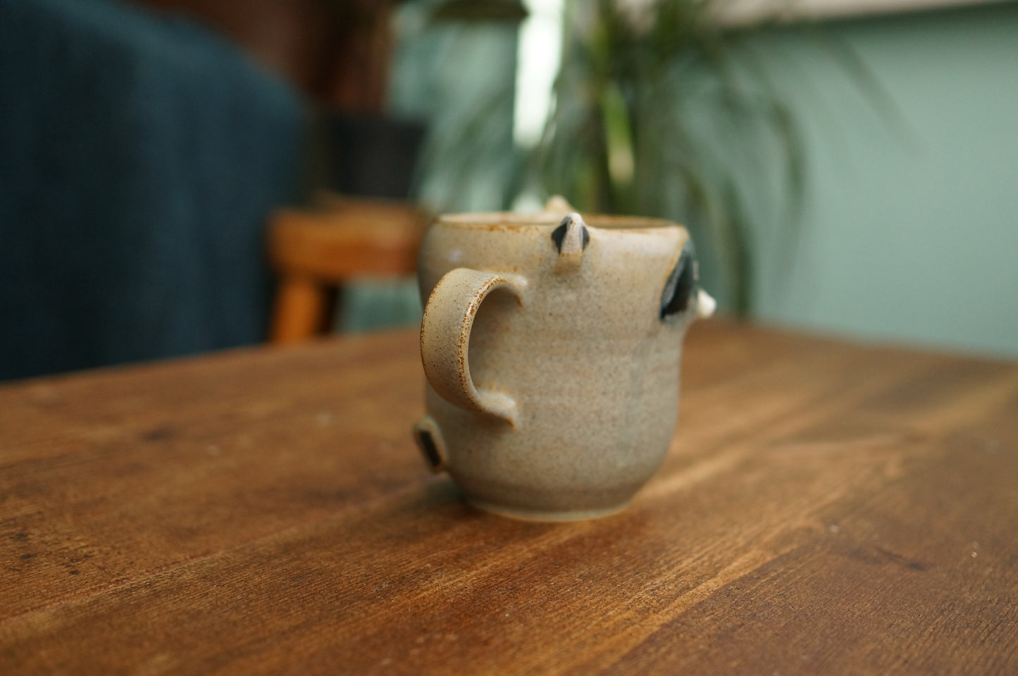 Raccoon Mug