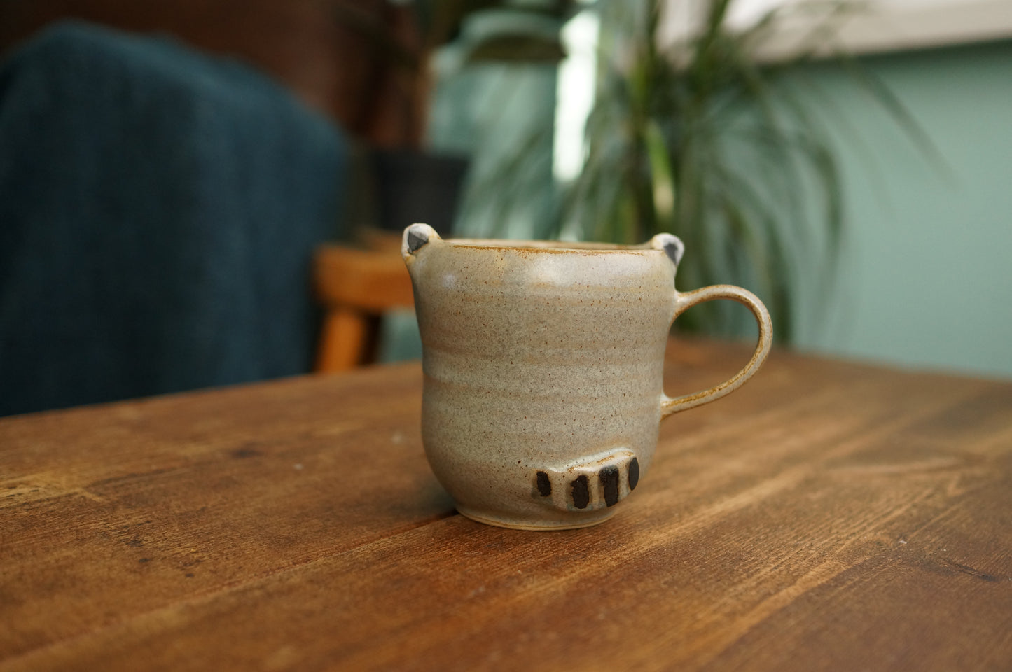 Raccoon Mug