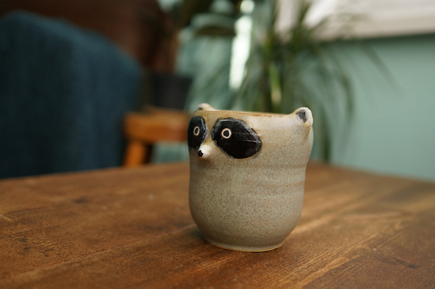 Raccoon Mug