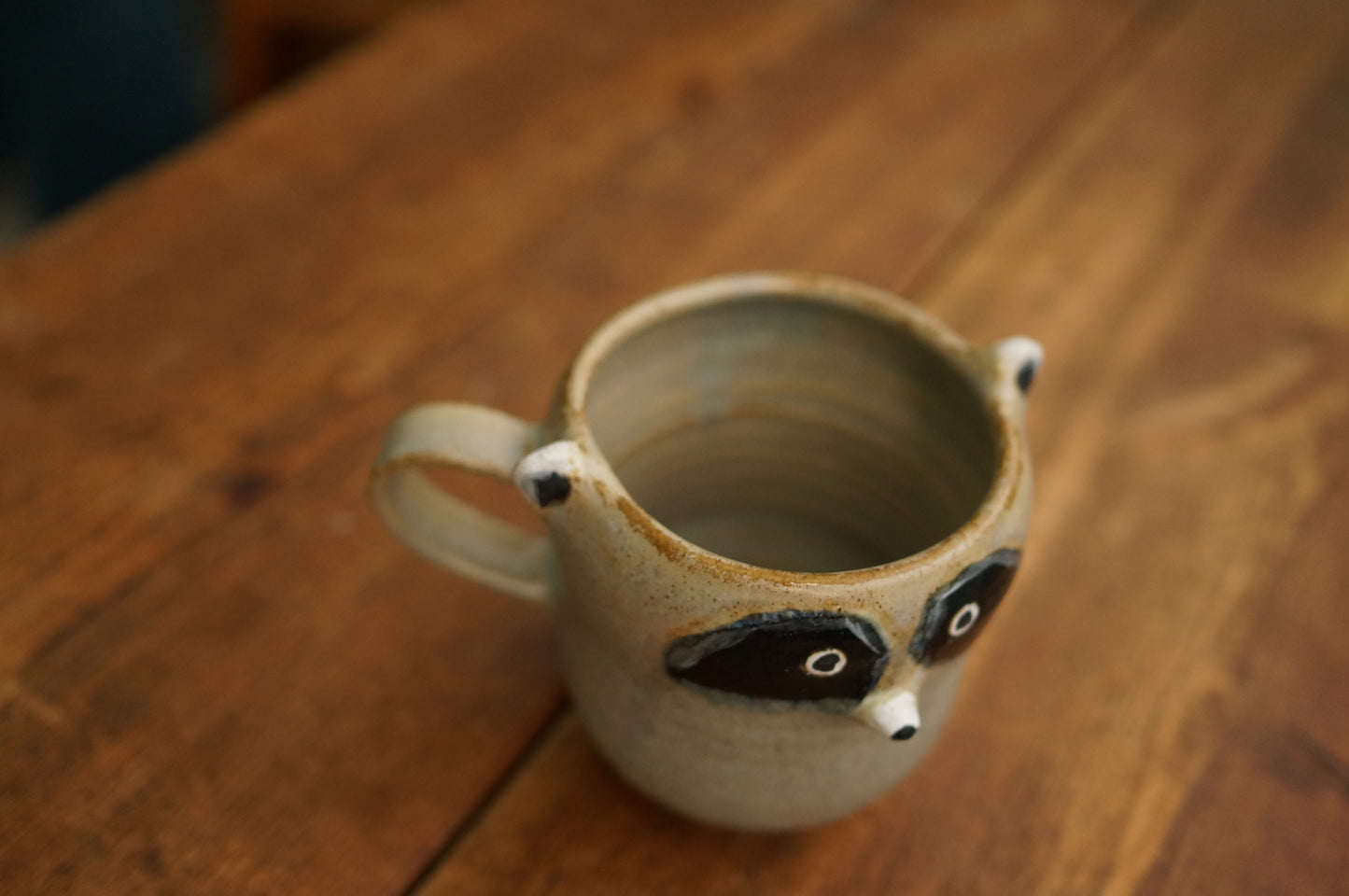 Raccoon Mug