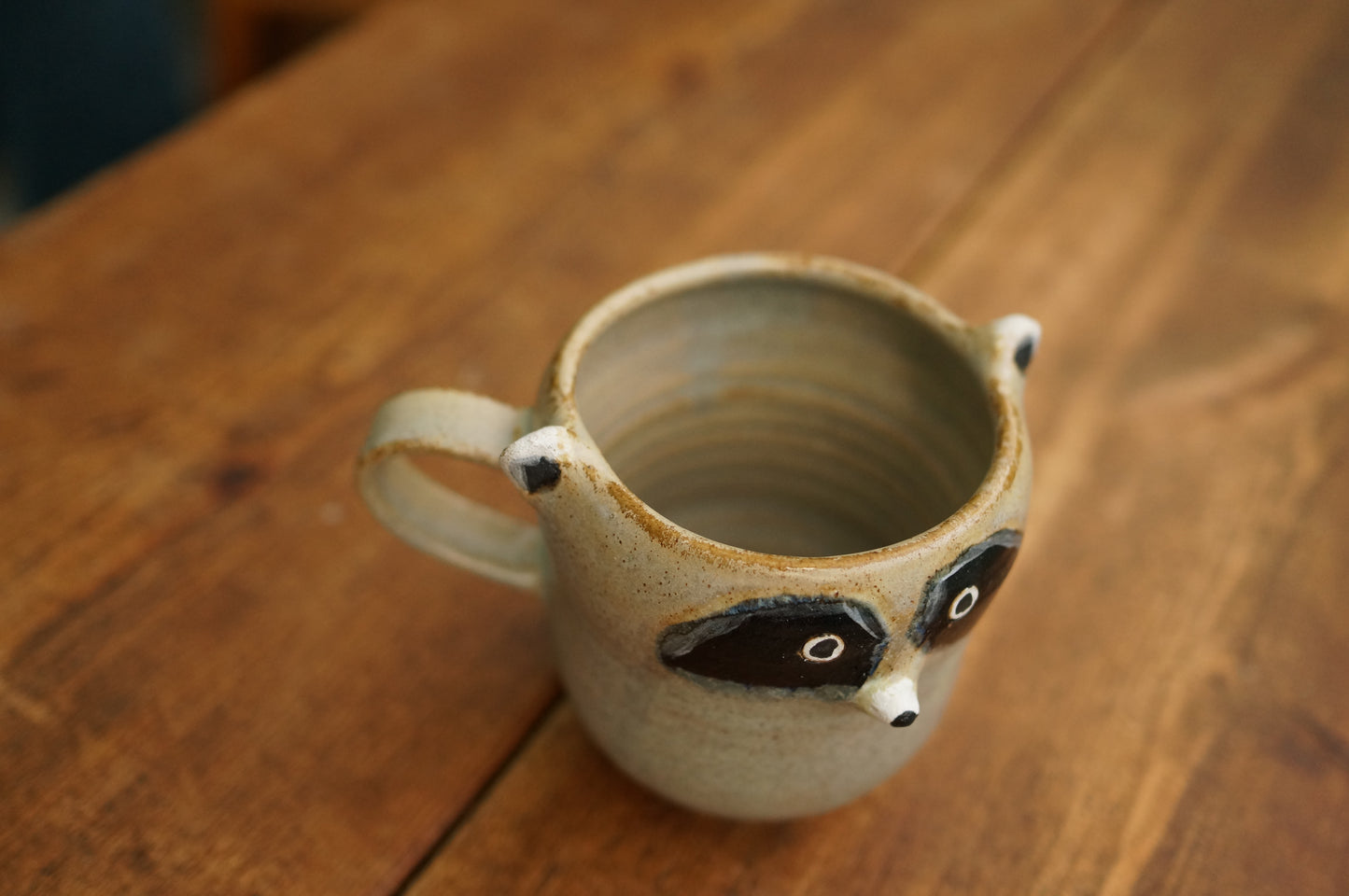 Raccoon Mug
