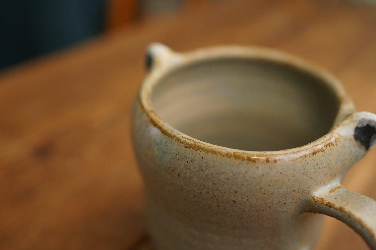 Raccoon Mug