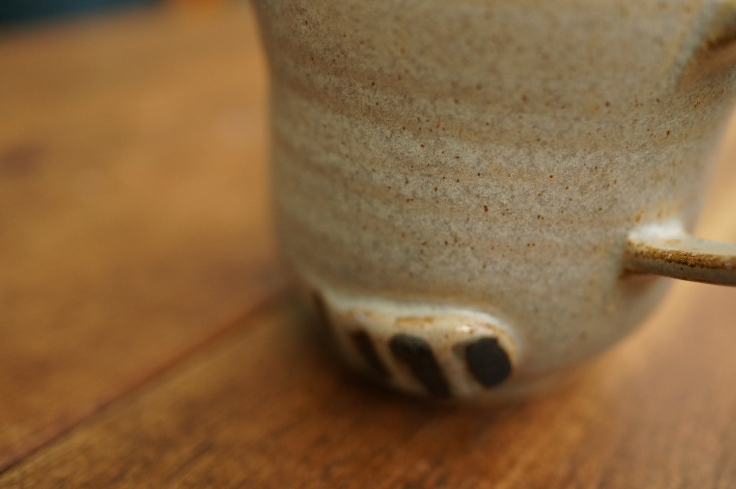 Raccoon Mug