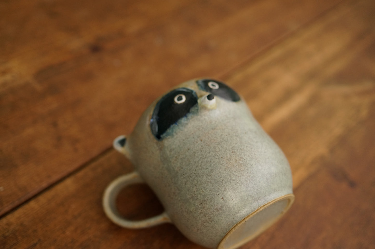Raccoon Mug