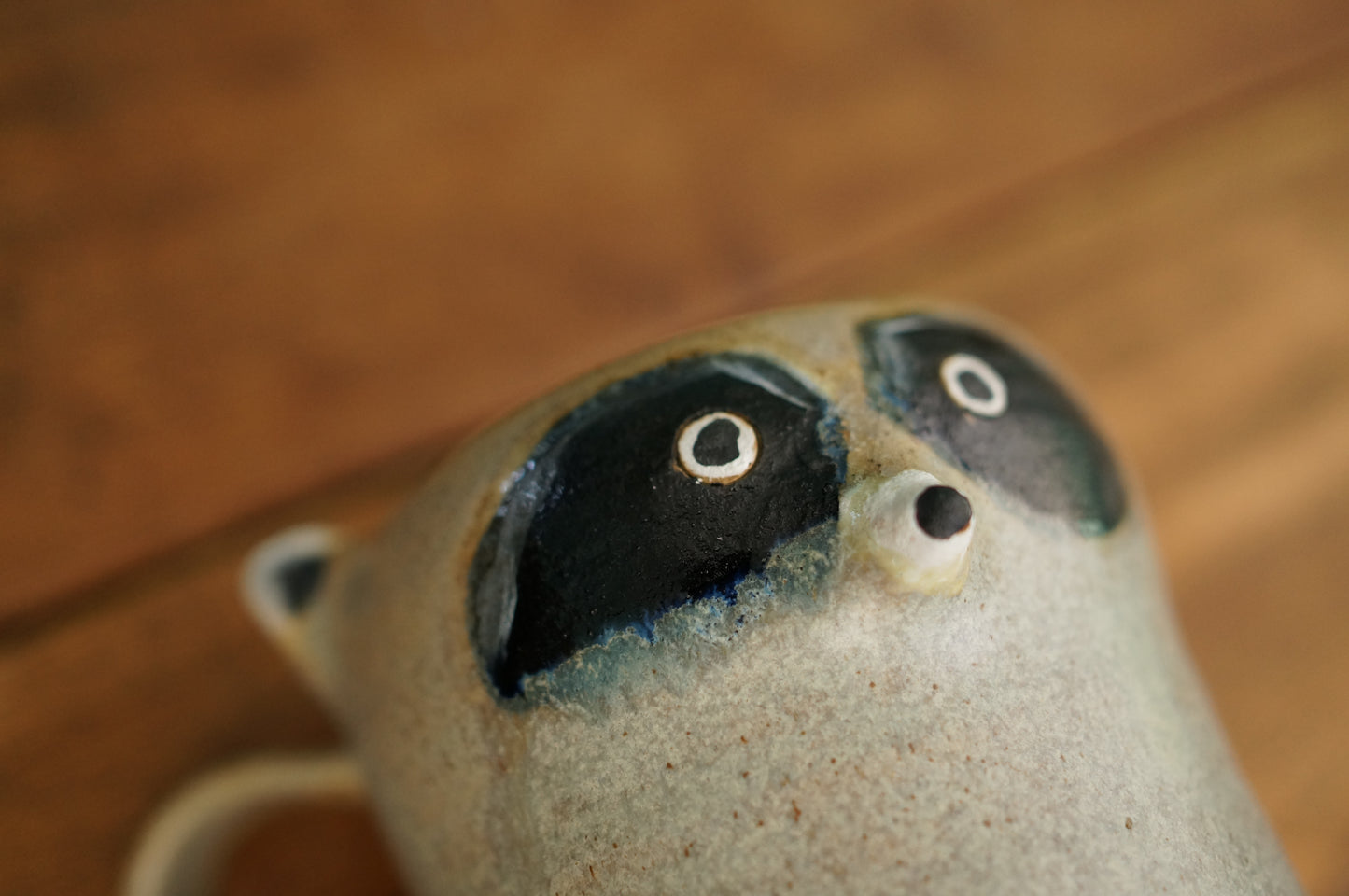 Raccoon Mug
