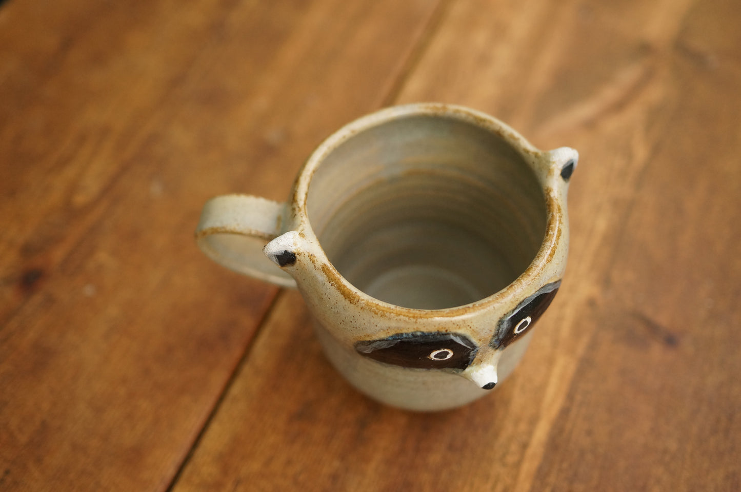 Raccoon Mug