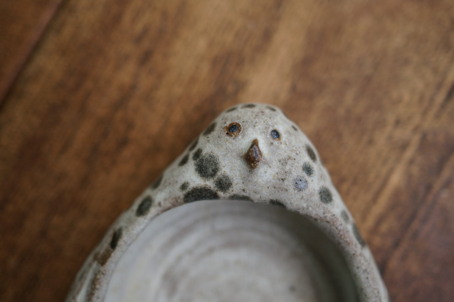 Snowy Owl Holder