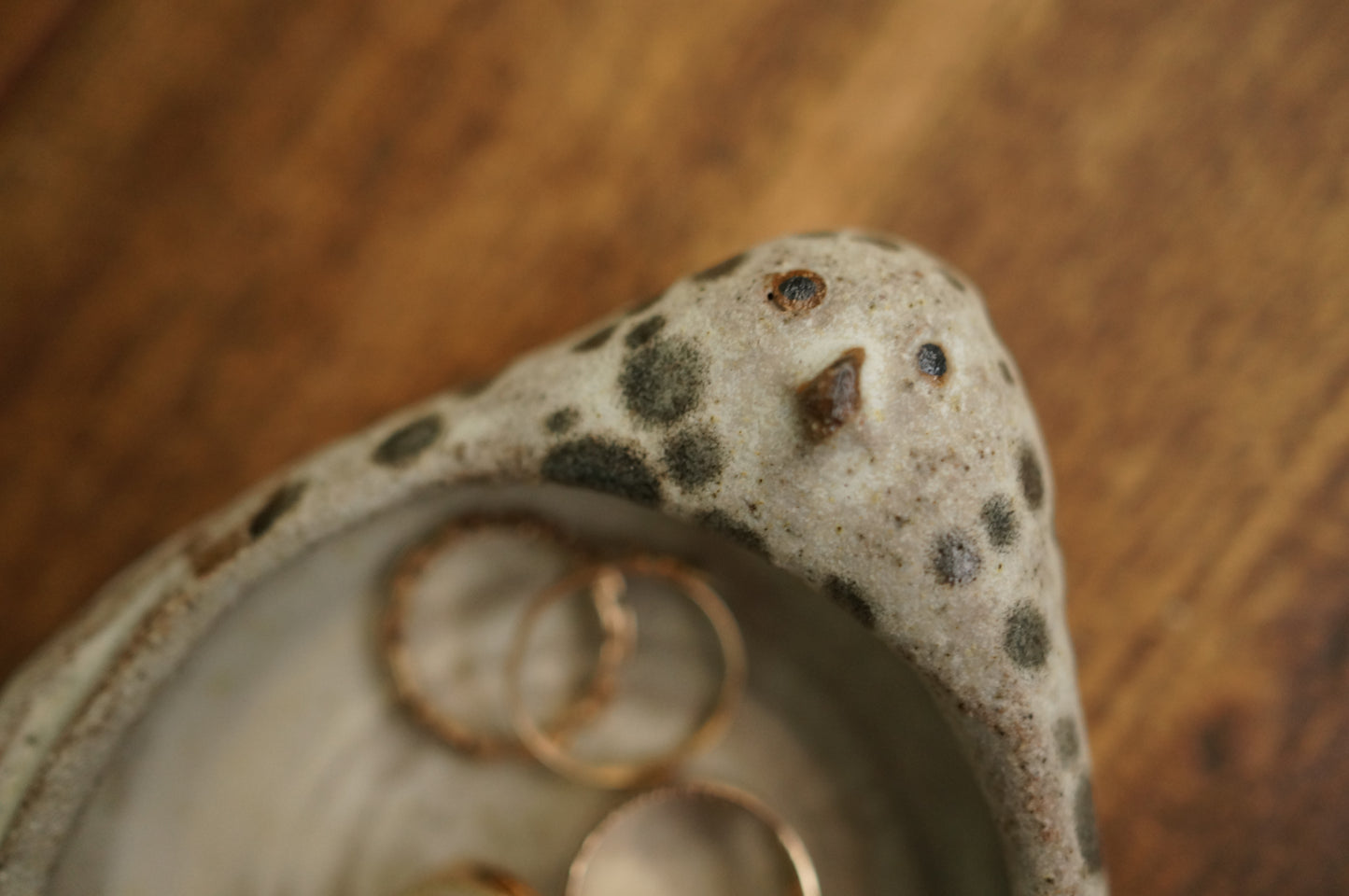 Snowy Owl Holder