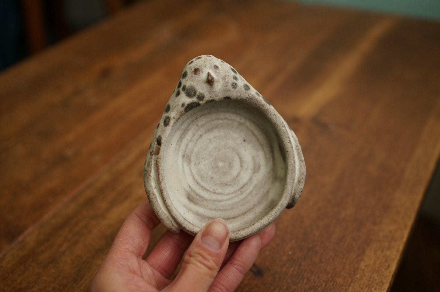 Snowy Owl Holder