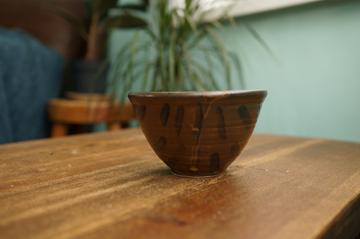 Hedgehog Bowl