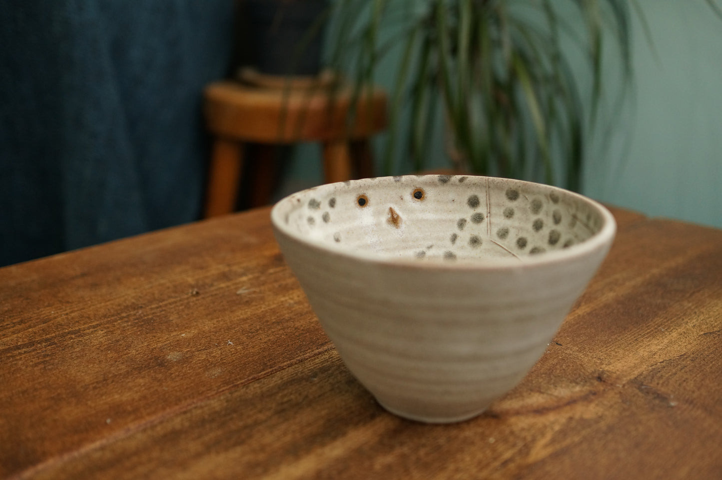 Snowy Owl Bowl