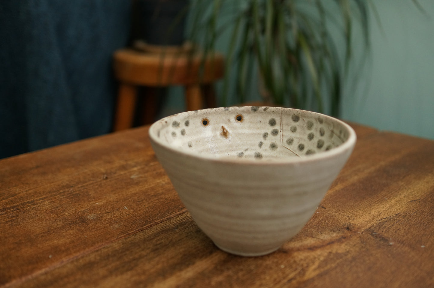 Snowy Owl Bowl