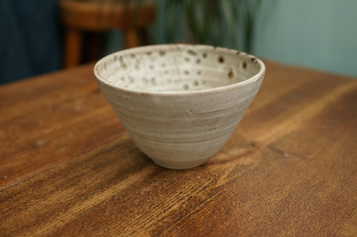 Snowy Owl Bowl