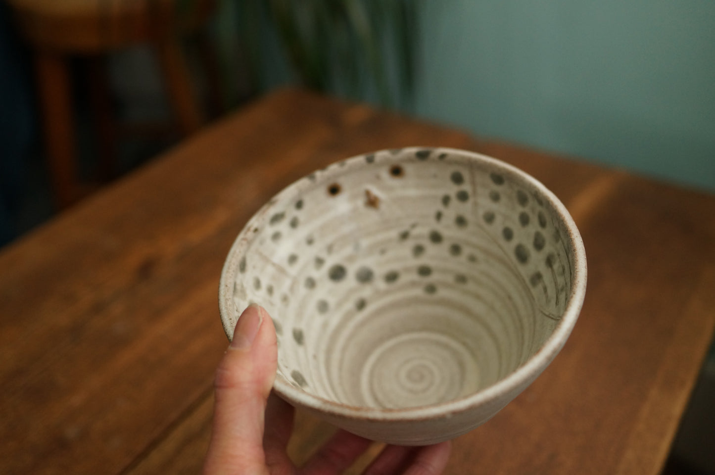 Snowy Owl Bowl