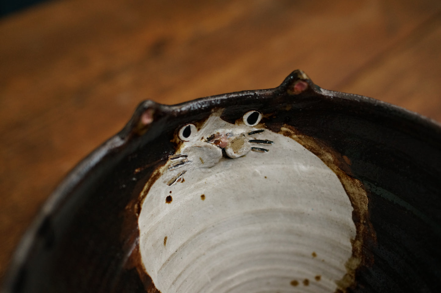Cat Bowl