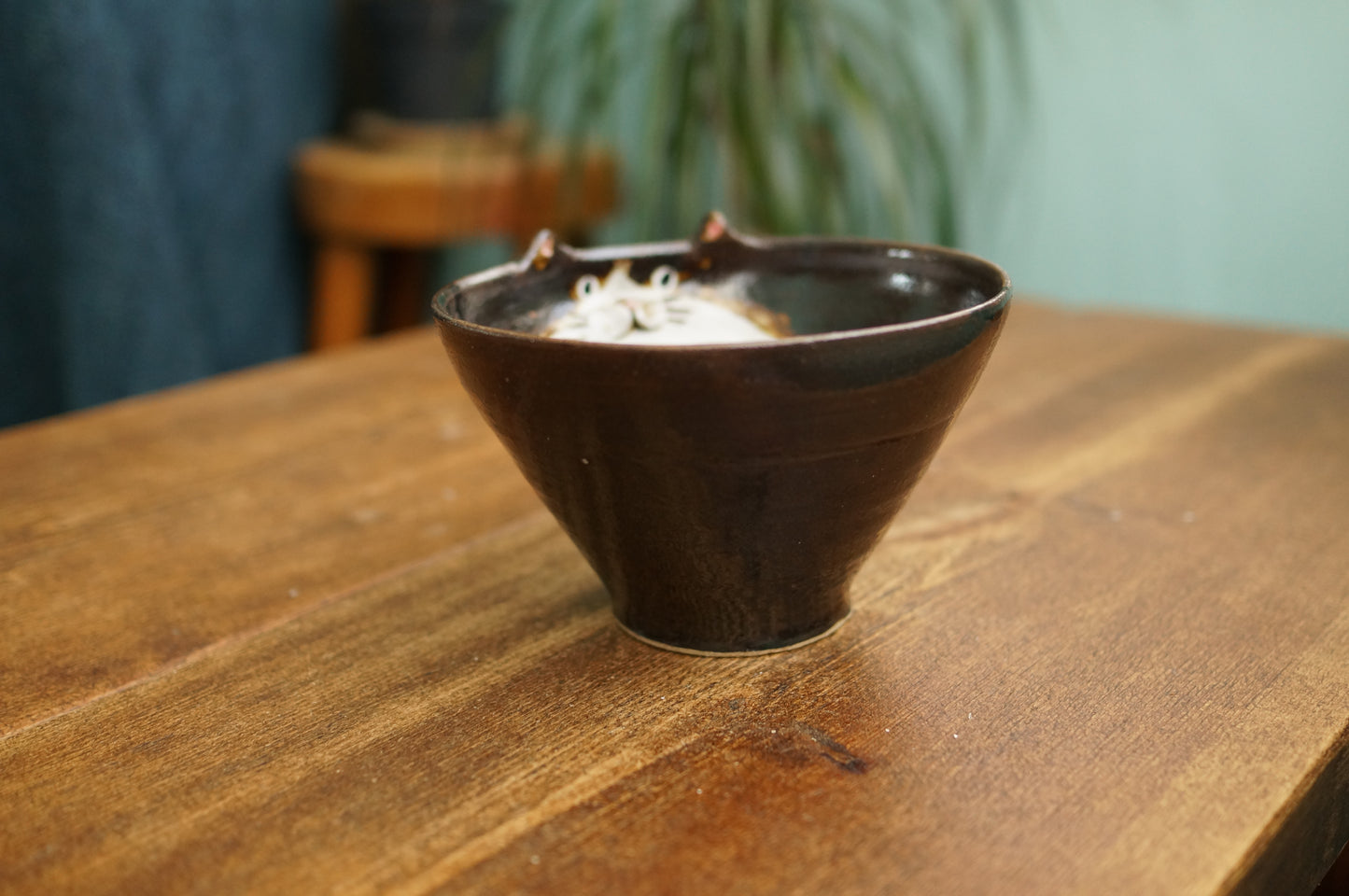 Cat Bowl