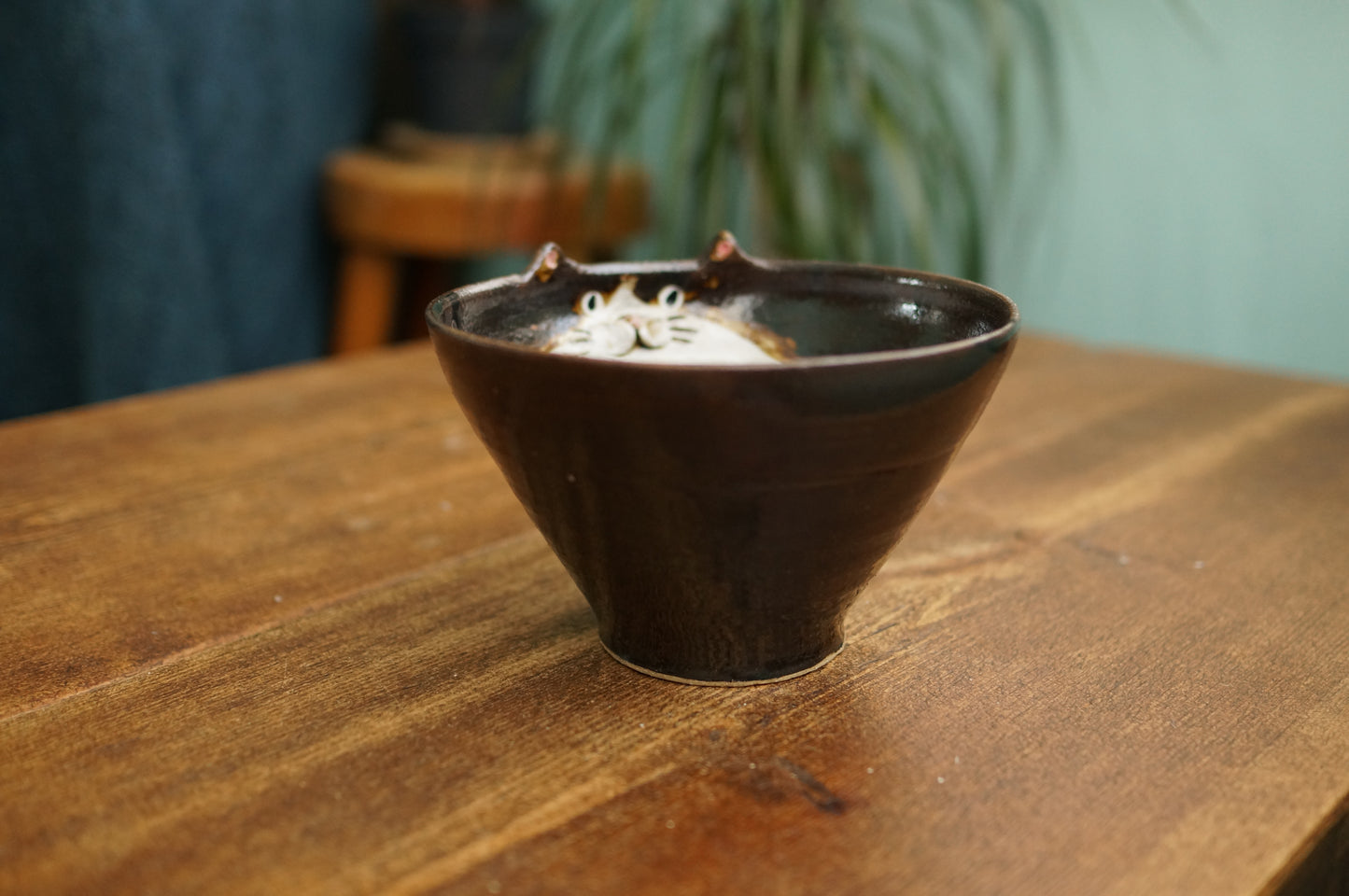 Cat Bowl
