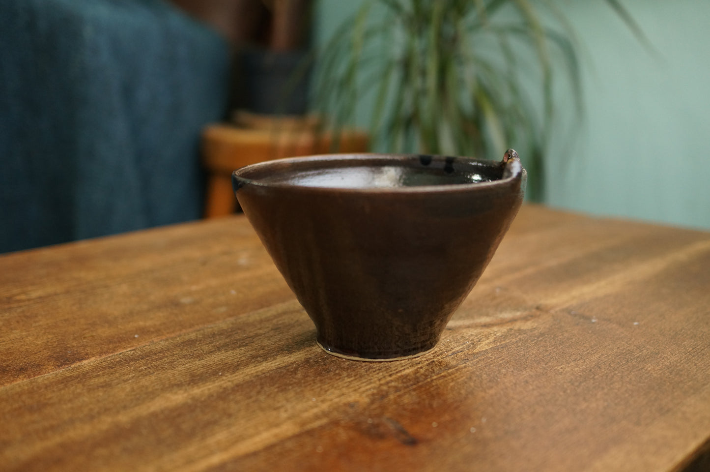 Cat Bowl
