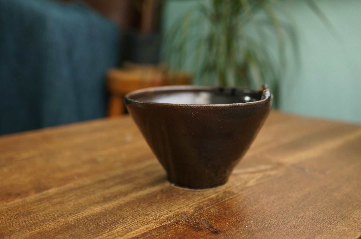 Cat Bowl