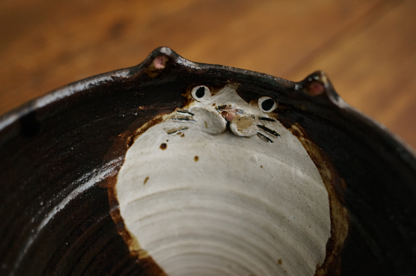 Cat Bowl